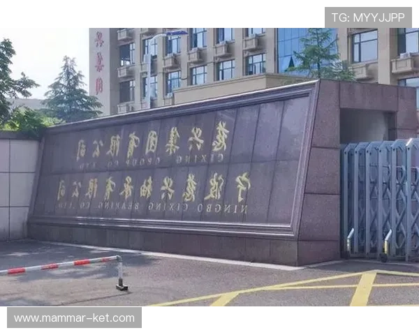 BG大游真人登录线路的安全性分析，保障玩家账号安全