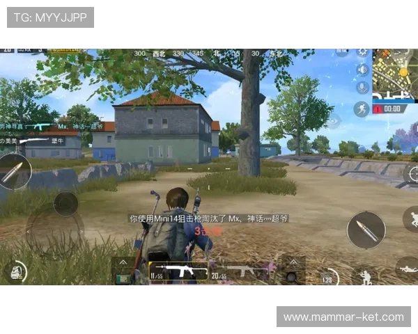 全面分析DB真人漏洞的成因与影响，帮助玩家提升游戏安全意识