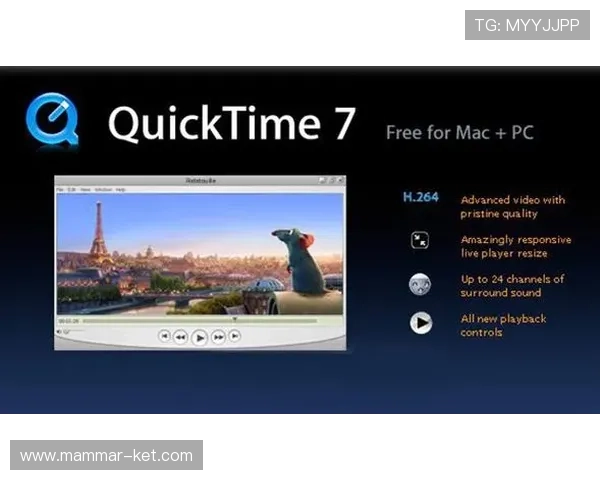如何快速下载安装dg视讯官网最新版本，详细步骤与常见问题解答