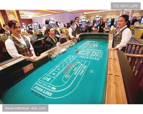 百家乐网赌对玩家财产安全的影响及应对策略建议