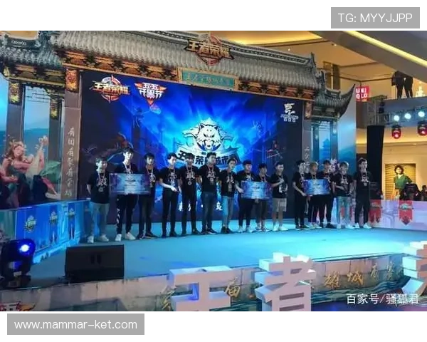 ag百家登录最新安全措施解析,确保玩家账号在登录过程中的信息安全与隐私保护 ag百家登录最新安全措施解析,确保玩家账号在登录过程中的信息安全与隐私保护