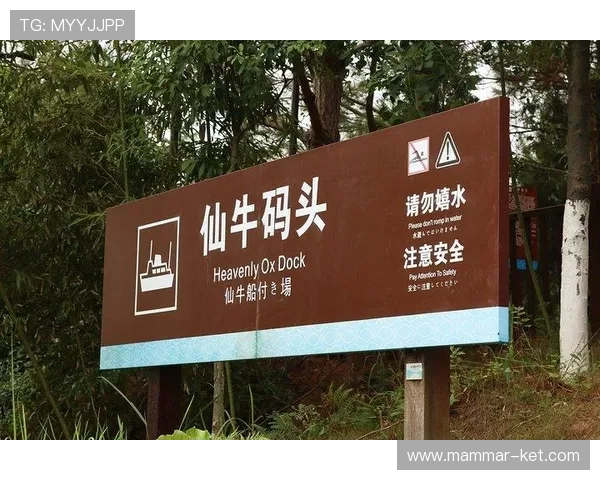 开云真人在哪里玩介绍,2026年最受欢迎的娱乐场所推荐 开云真人在哪里玩介绍,2026年最受欢迎的娱乐场所推荐