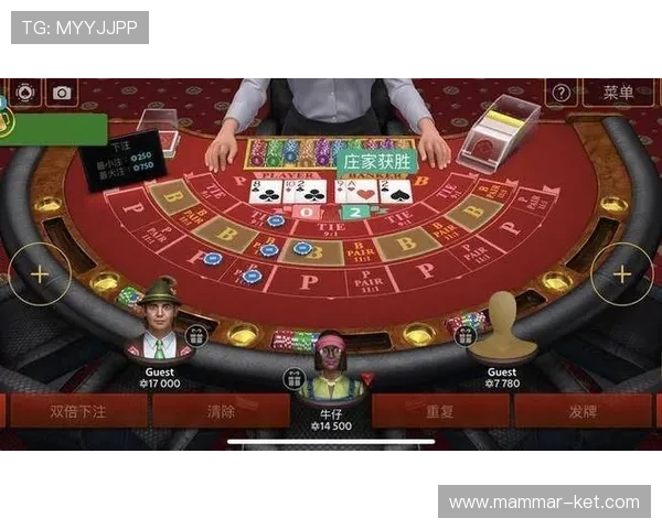 网络赌博百家乐合法性分析及其对玩家财产的潜在影响详解