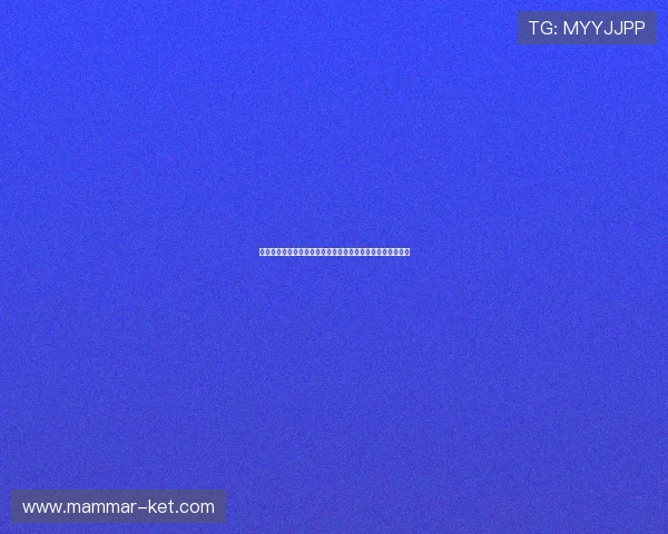 海地与摩洛哥比赛场馆的草皮质量、照明设备及观众体验详解